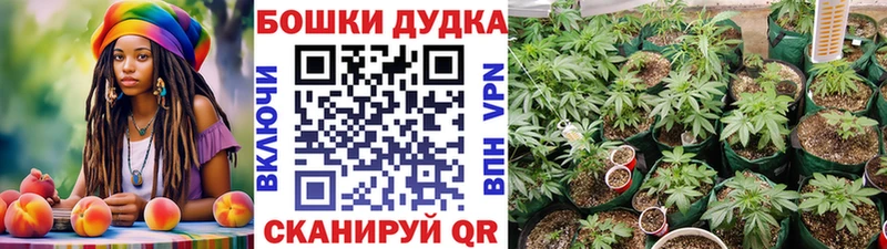 Купить наркотики сайты Хилок Канабис  МЕФ  ГАШ 