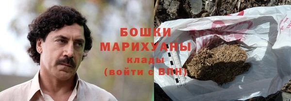ГАЛЛЮЦИНОГЕННЫЕ ГРИБЫ Арсеньев