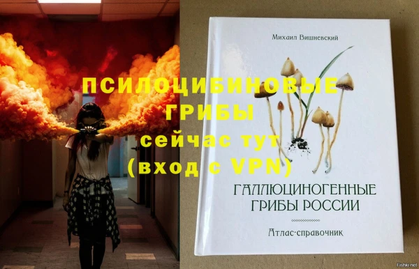 дурь Аркадак