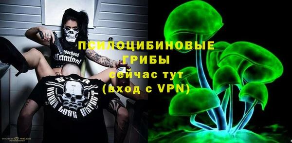 ГАЛЛЮЦИНОГЕННЫЕ ГРИБЫ Арсеньев