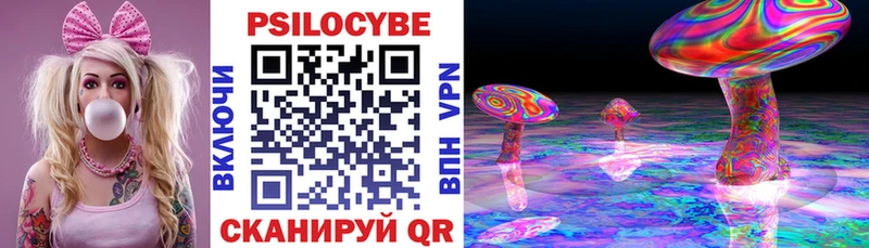 купить  цена  Хилок  мега маркетплейс  Псилоцибиновые грибы Cubensis 